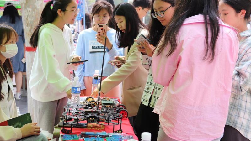 数字化案例解析：优与劣的辩证视角
